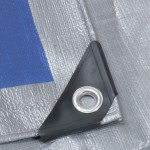 Ribimex PRB25008X12 Pro Telone Rinforzato, 8x12 m, 250 gr, Multicolore