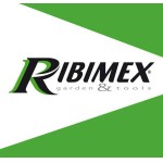 Ribimex Motosega con batteria PRBAT20/TRO1 - 20v
