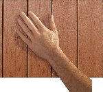 Casetta da Giardino Porta Attrezzi 190x244x221 cm in Evotech+ Keter Darwin 6x8 Marrone